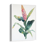 Blush Ginger Bloom - Botanical Wall Art