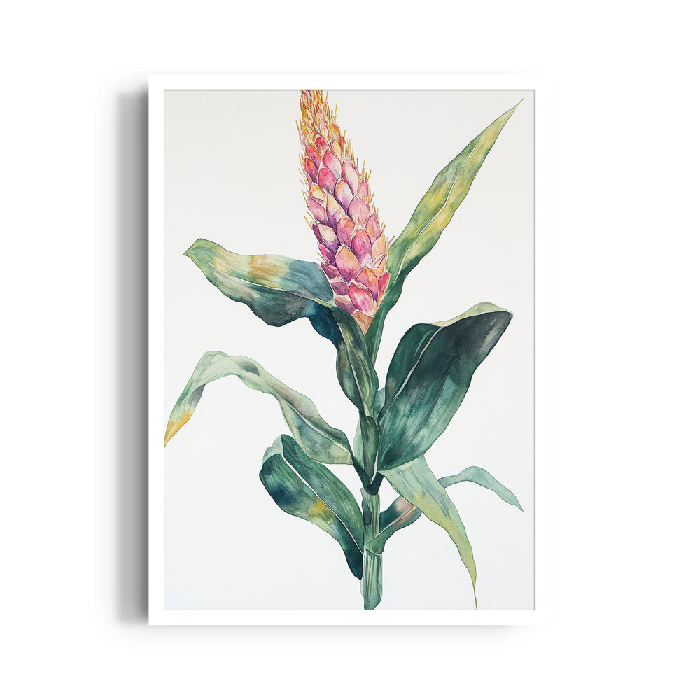 Blush Ginger Bloom - Botanical Wall Art