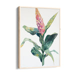 Blush Ginger Bloom - Botanical Wall Art