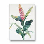 Blush Ginger Bloom - Botanical Wall Art