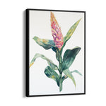 Blush Ginger Bloom - Botanical Wall Art