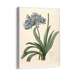 Celestial Blue Lily - Botanical Wall Art