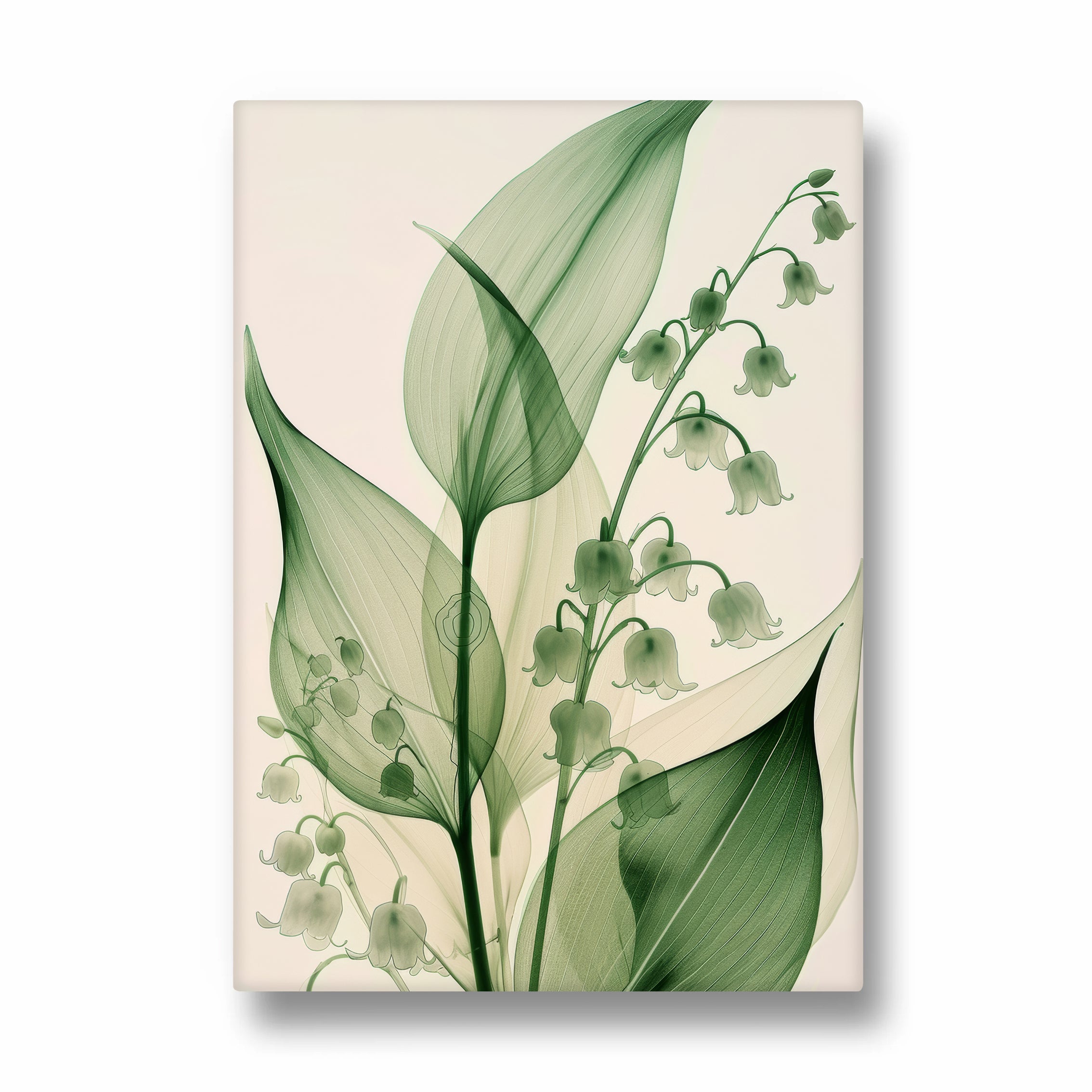 Emerald Lily of the Valley - Botanical Wall Art