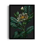 Emerald Midnight Bloom - Botanical Wall Art - Pillow Fights