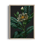 Emerald Midnight Bloom - Botanical Wall Art - Pillow Fights
