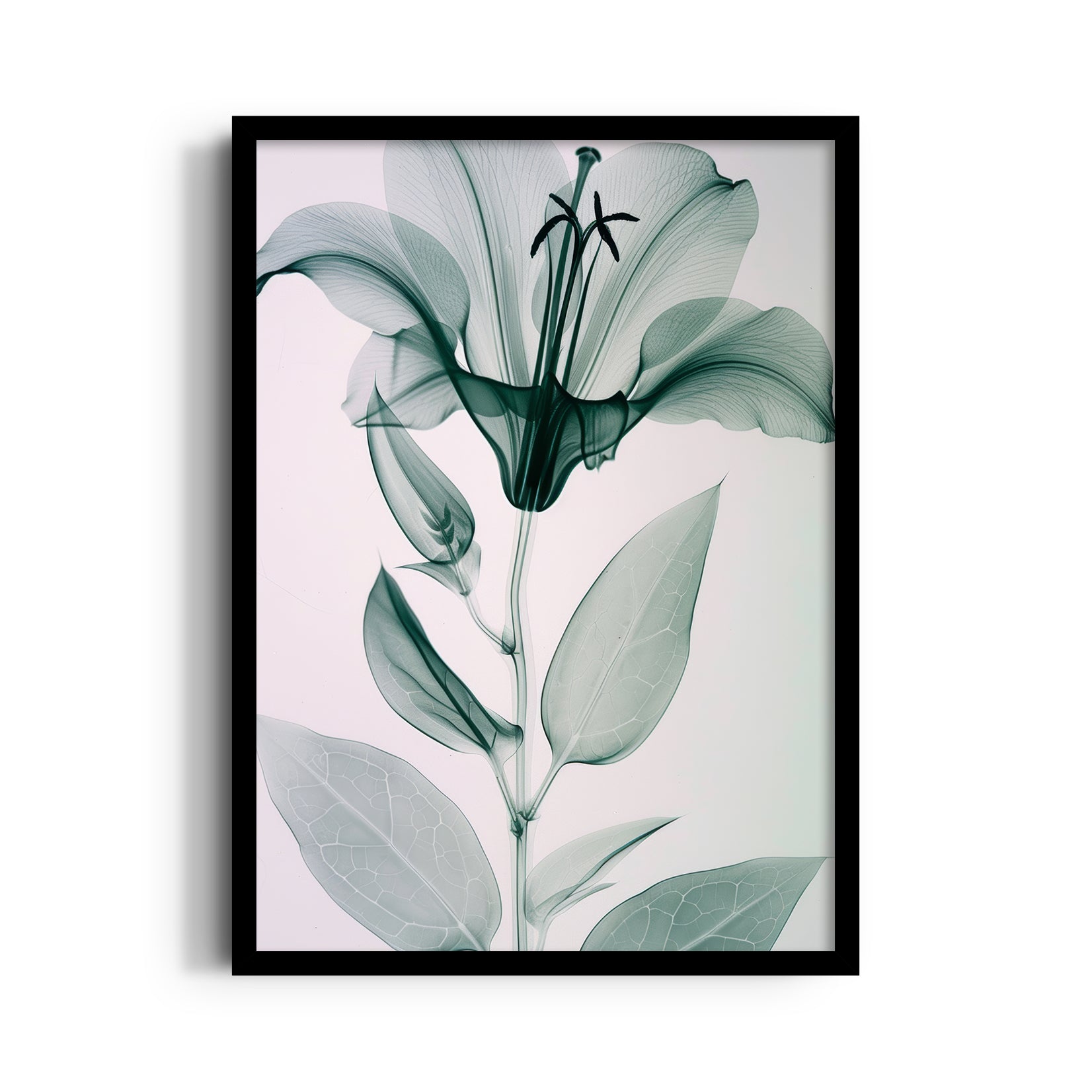 Ethereal Glass Lily - Botanical Wall Art