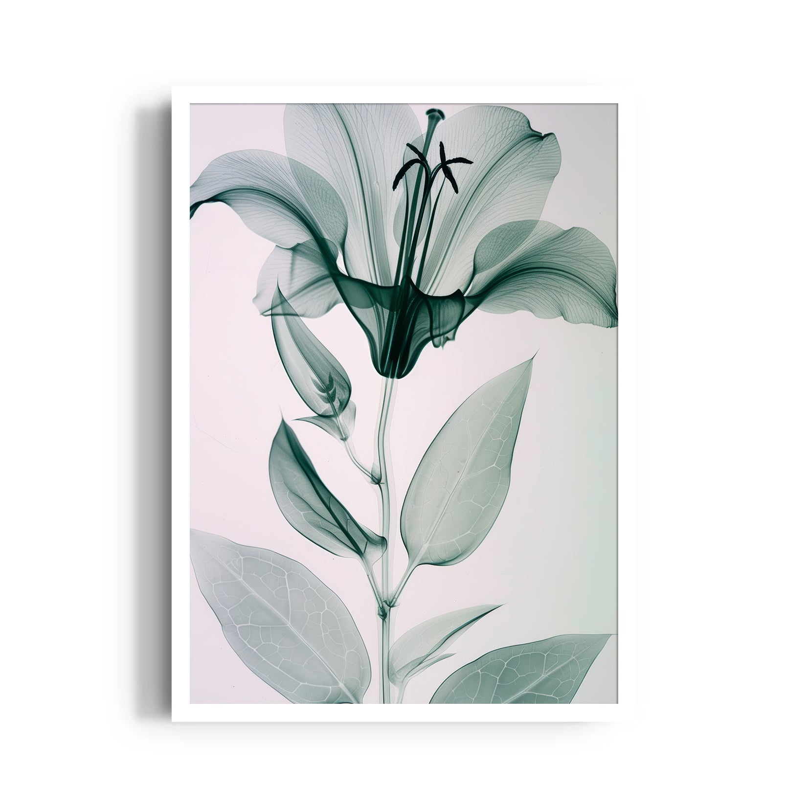 Ethereal Glass Lily - Botanical Wall Art