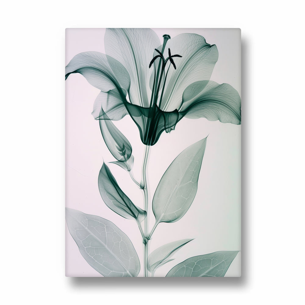 Ethereal Glass Lily - Botanical Wall Art - Pillow Fights
