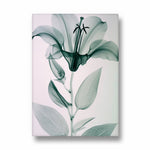Ethereal Glass Lily - Botanical Wall Art - Pillow Fights