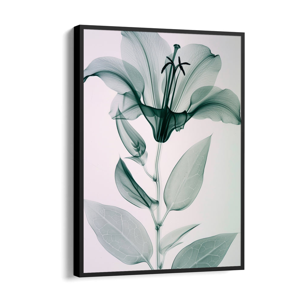 Ethereal Glass Lily - Botanical Wall Art - Pillow Fights