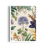 Ethereal Thistle Garden - Botanical Wall Art