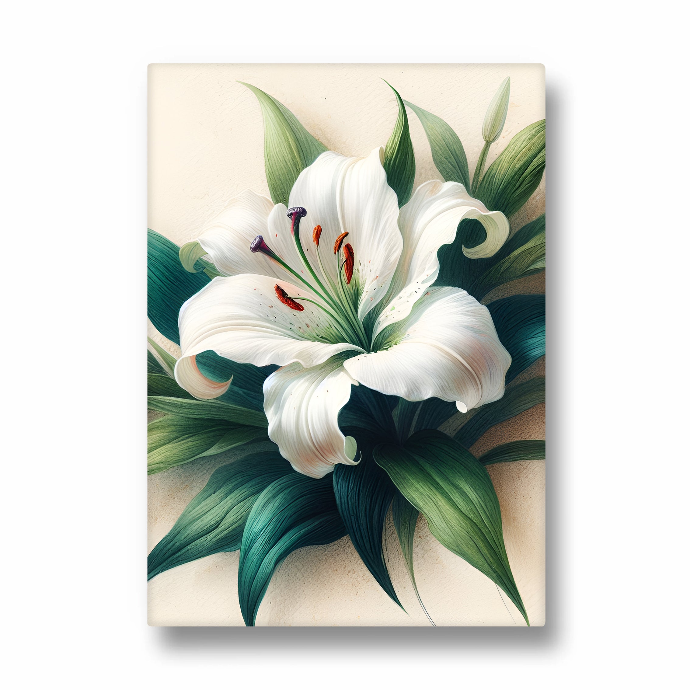 Ivory Lily Grace - Botanical Wall Art