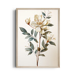 Ivory Magnolia Bloom - Botanical Wall Art