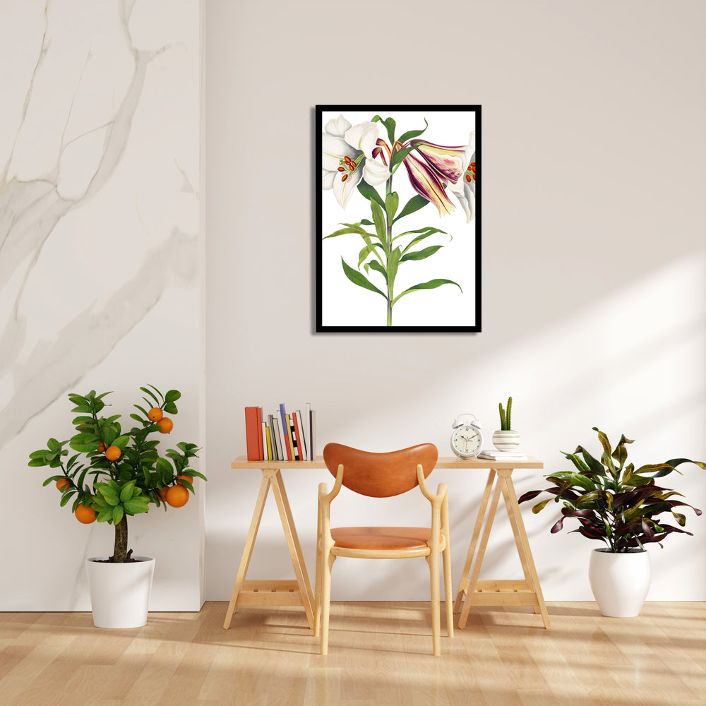 Ivory Tiger Lily - Botanical Wall Art - Pillow Fights