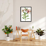 Ivory Tiger Lily - Botanical Wall Art - Pillow Fights
