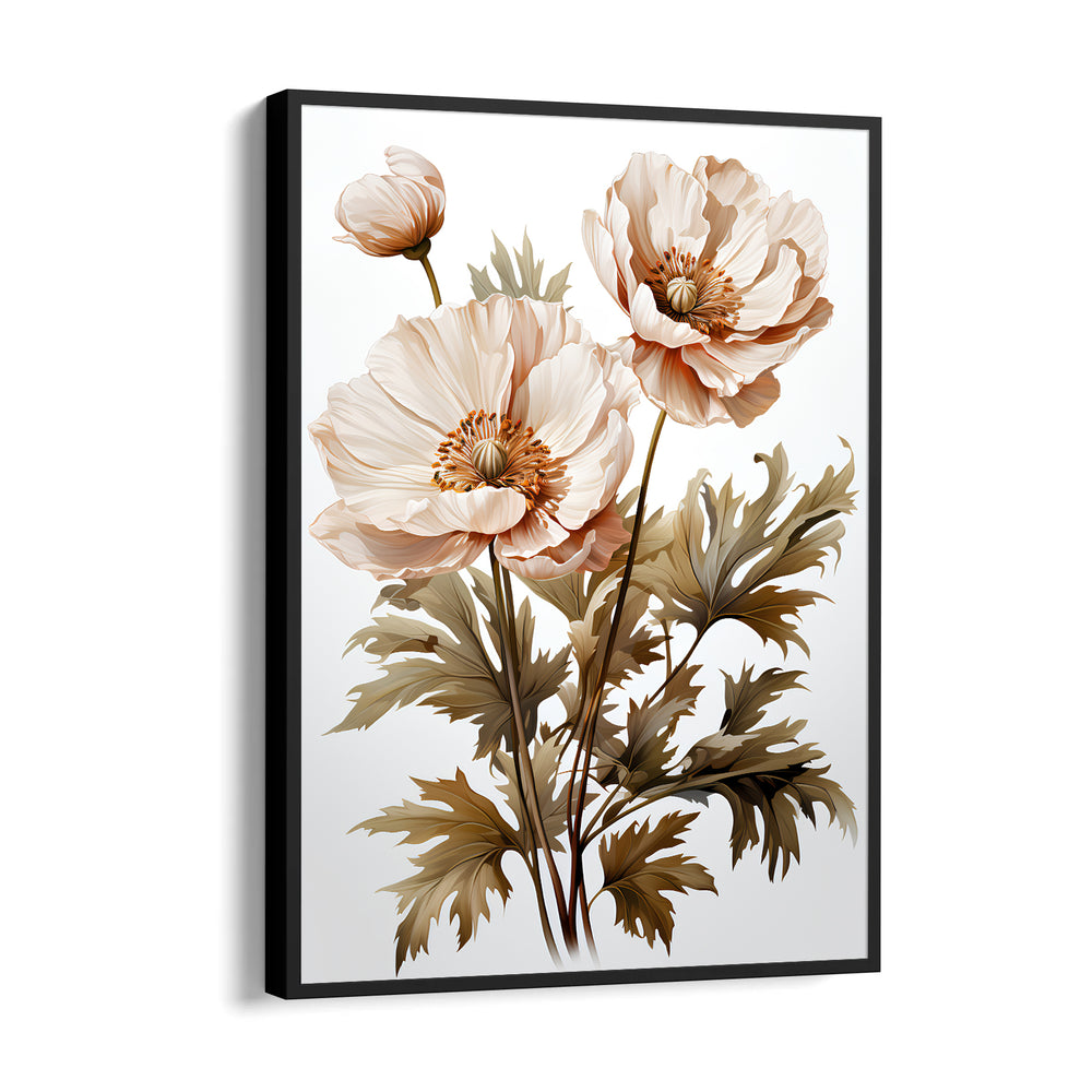 Ivory Whisper Poppy - Botanical Wall Art