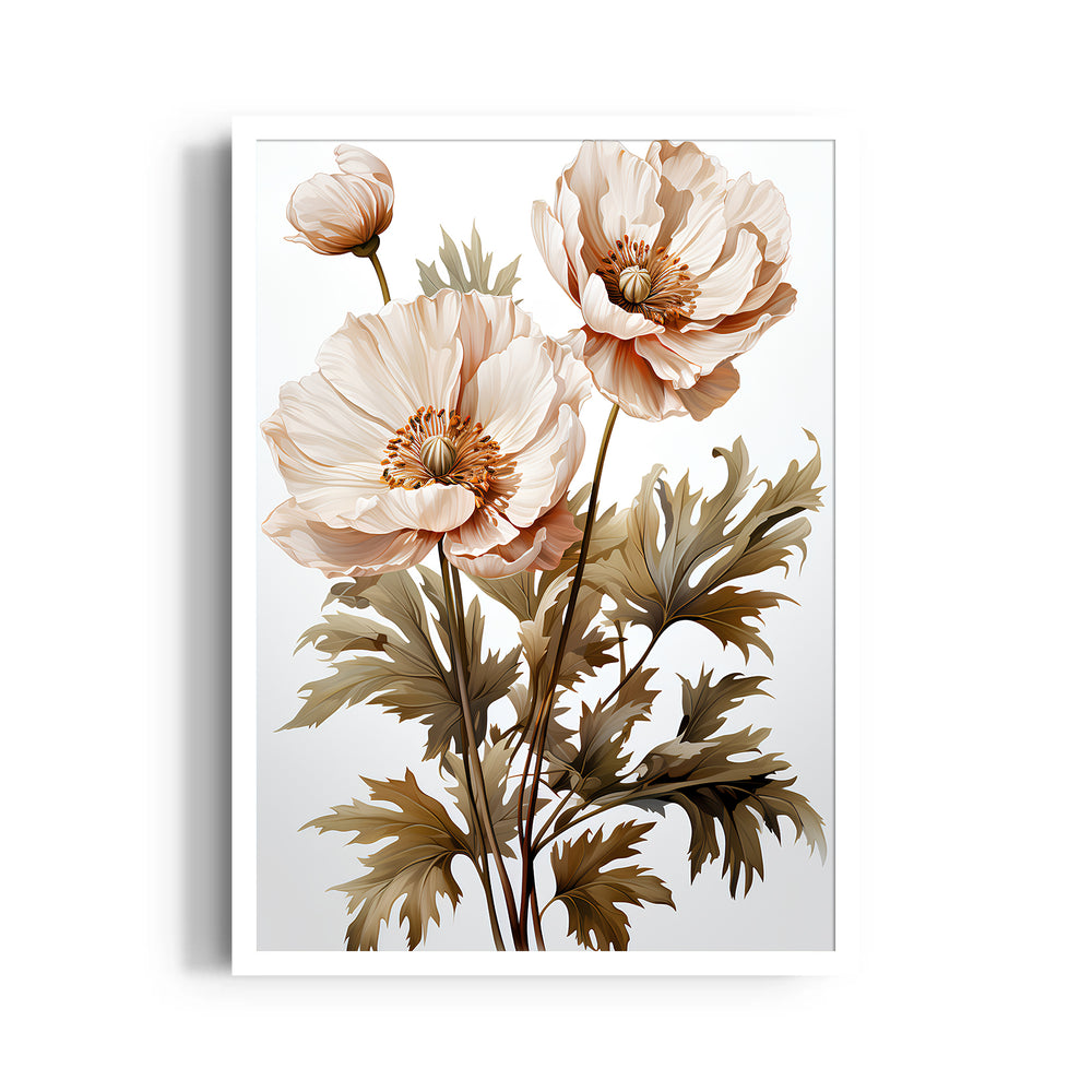 Ivory Whisper Poppy - Botanical Wall Art