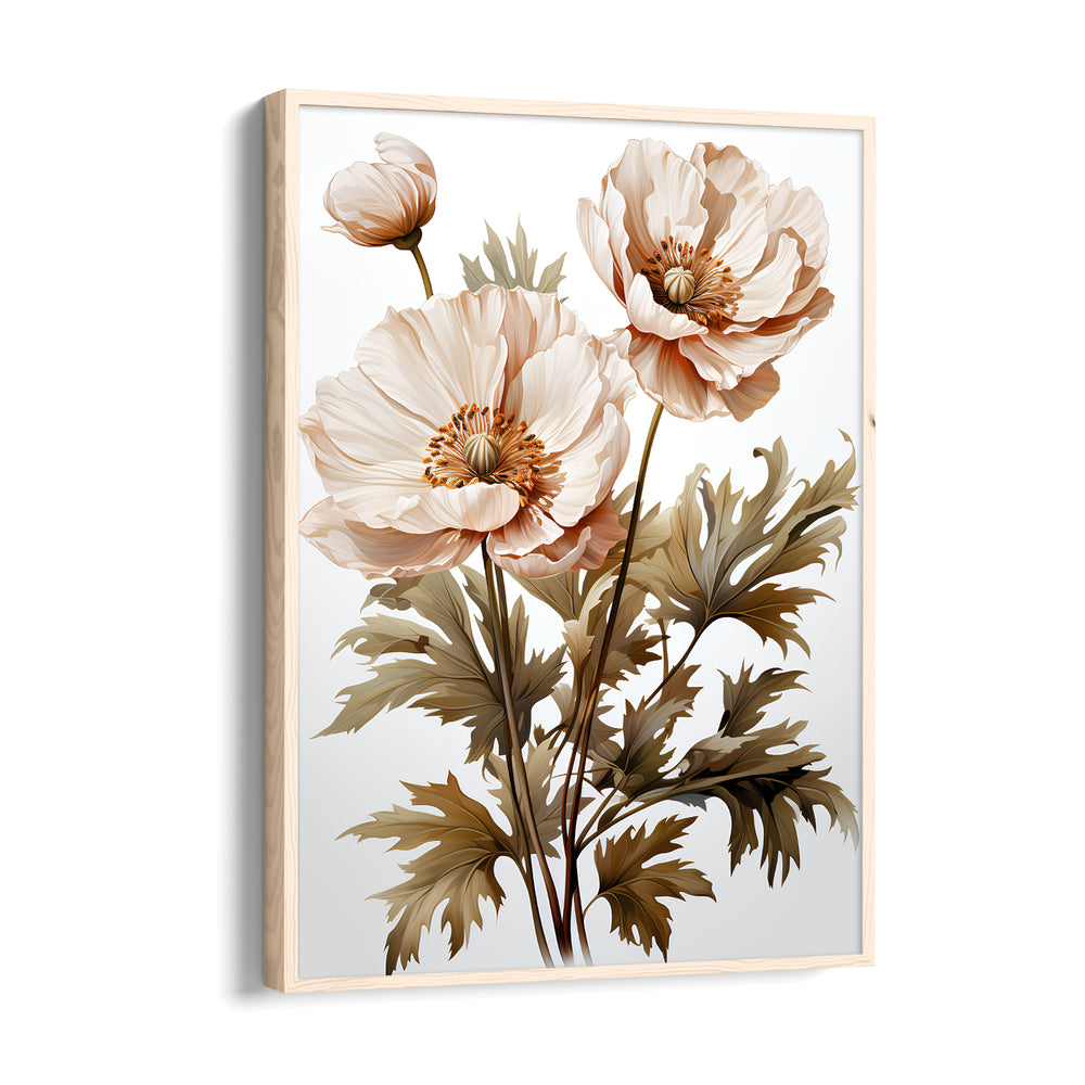 Ivory Whisper Poppy - Botanical Wall Art