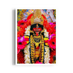 Kali Dakshina Mukuta Pushpanjali