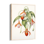 Lady Slipper Orchid - Botanical Wall Art
