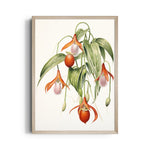 Lady Slipper Orchid - Botanical Wall Art