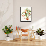 Lady Slipper Orchid - Botanical Wall Art