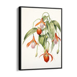 Lady Slipper Orchid - Botanical Wall Art