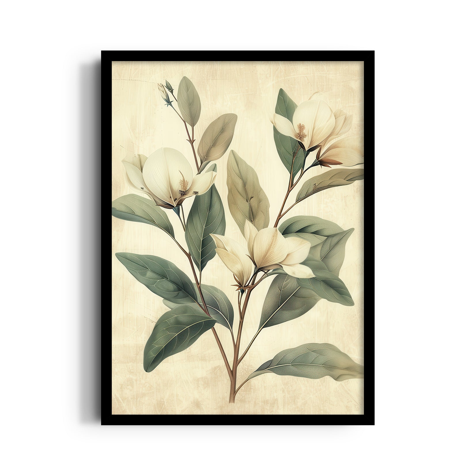 Magnolia Serenity - Botanical Wall Art