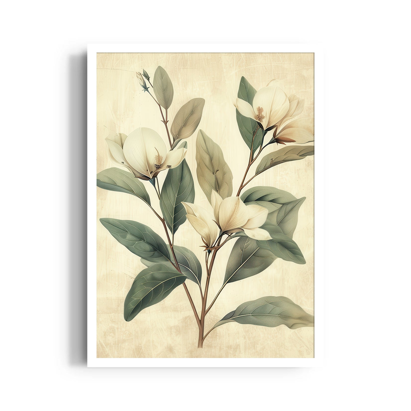 Magnolia Serenity - Botanical Wall Art