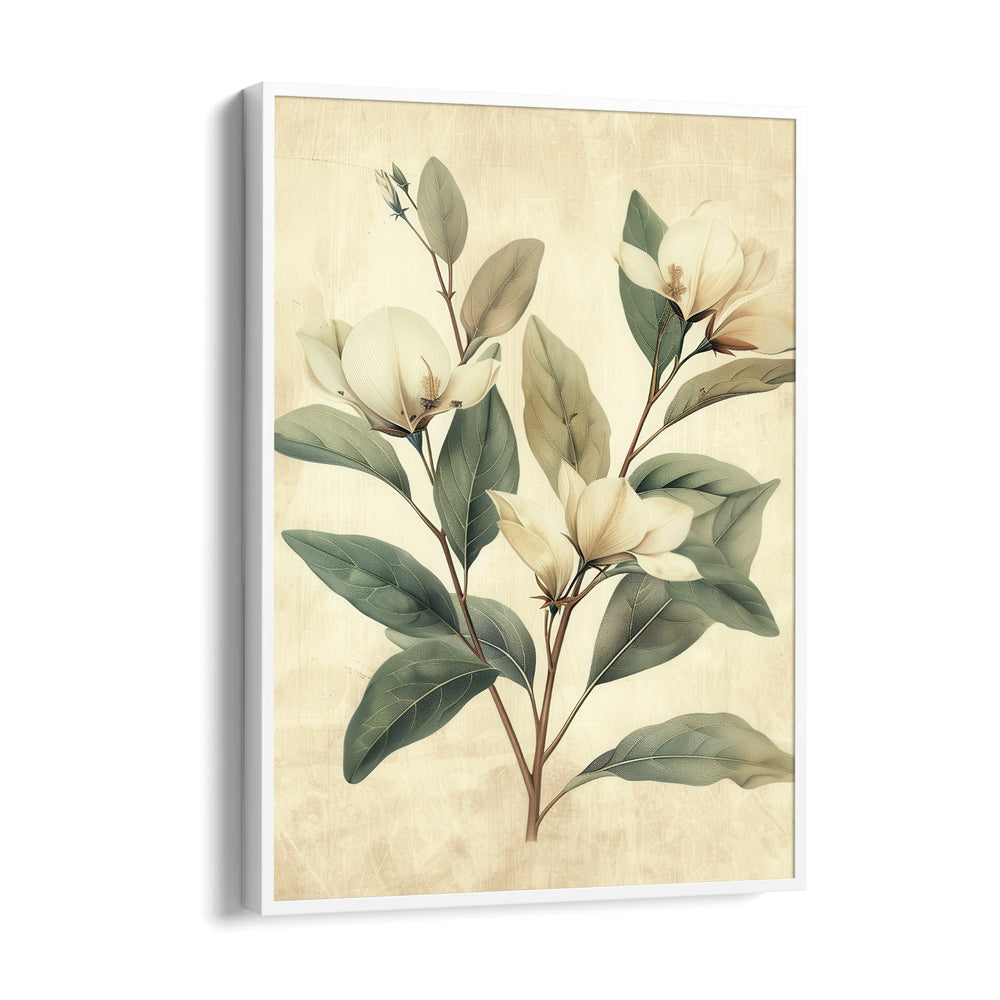 Magnolia Serenity - Botanical Wall Art