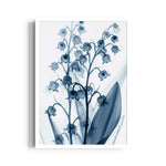Midnight Lily of the Valley - Botanical Wall Art - Pillow Fights