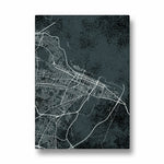 Noir City Grid - street map wall art - Pillow Fights