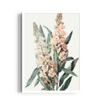 Orchid Meadow Elegance - Botanical Wall Art