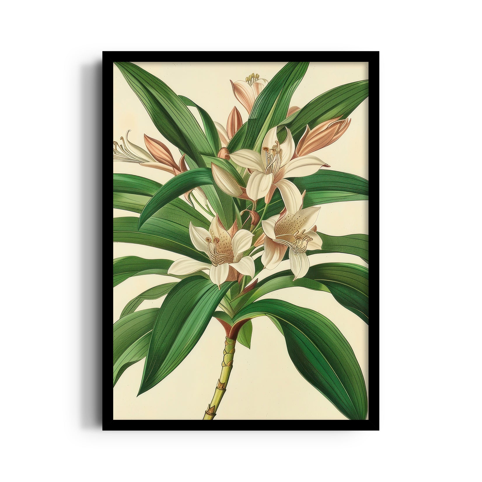 Saffron Lily Bloom - Botanical Wall Art