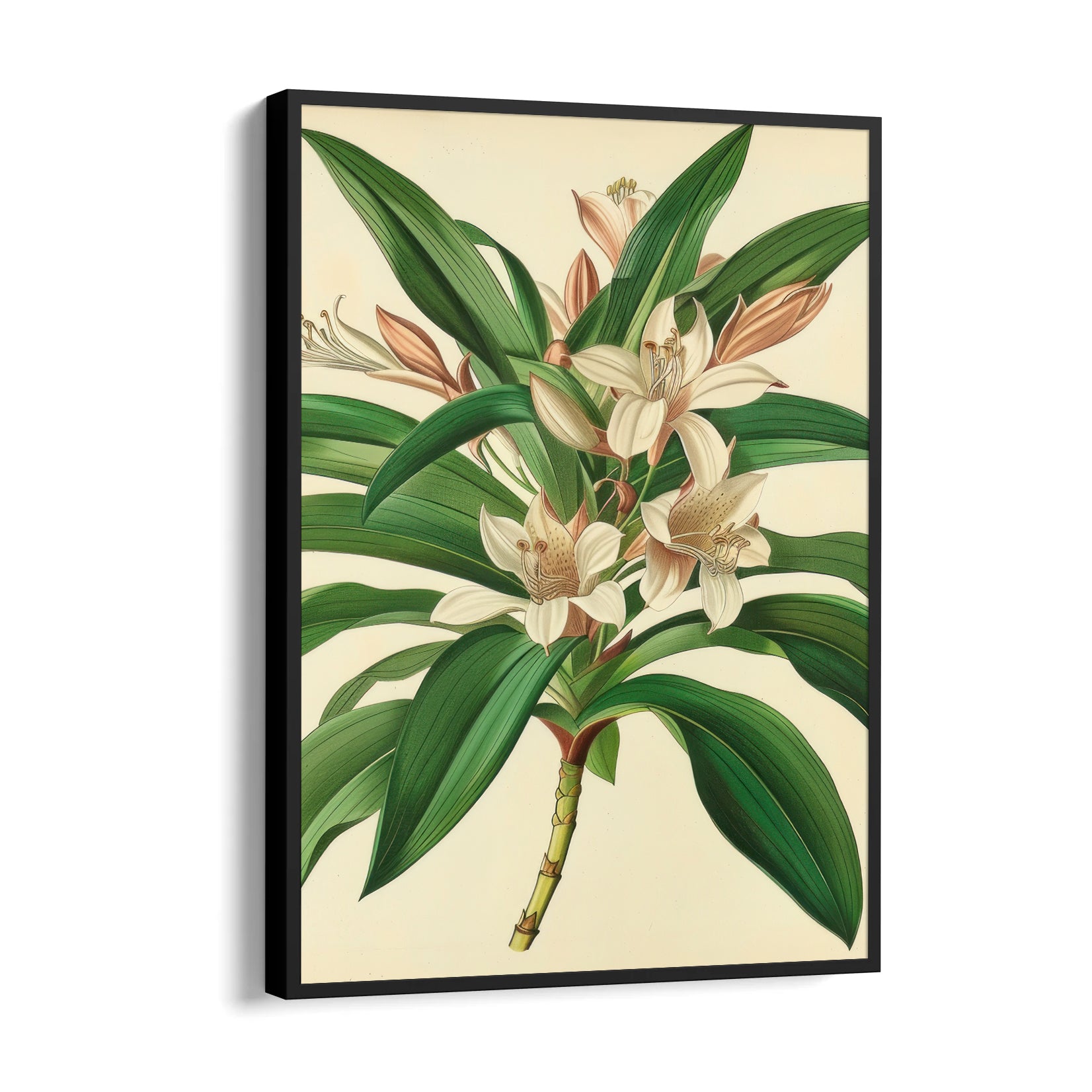Saffron Lily Bloom - Botanical Wall Art