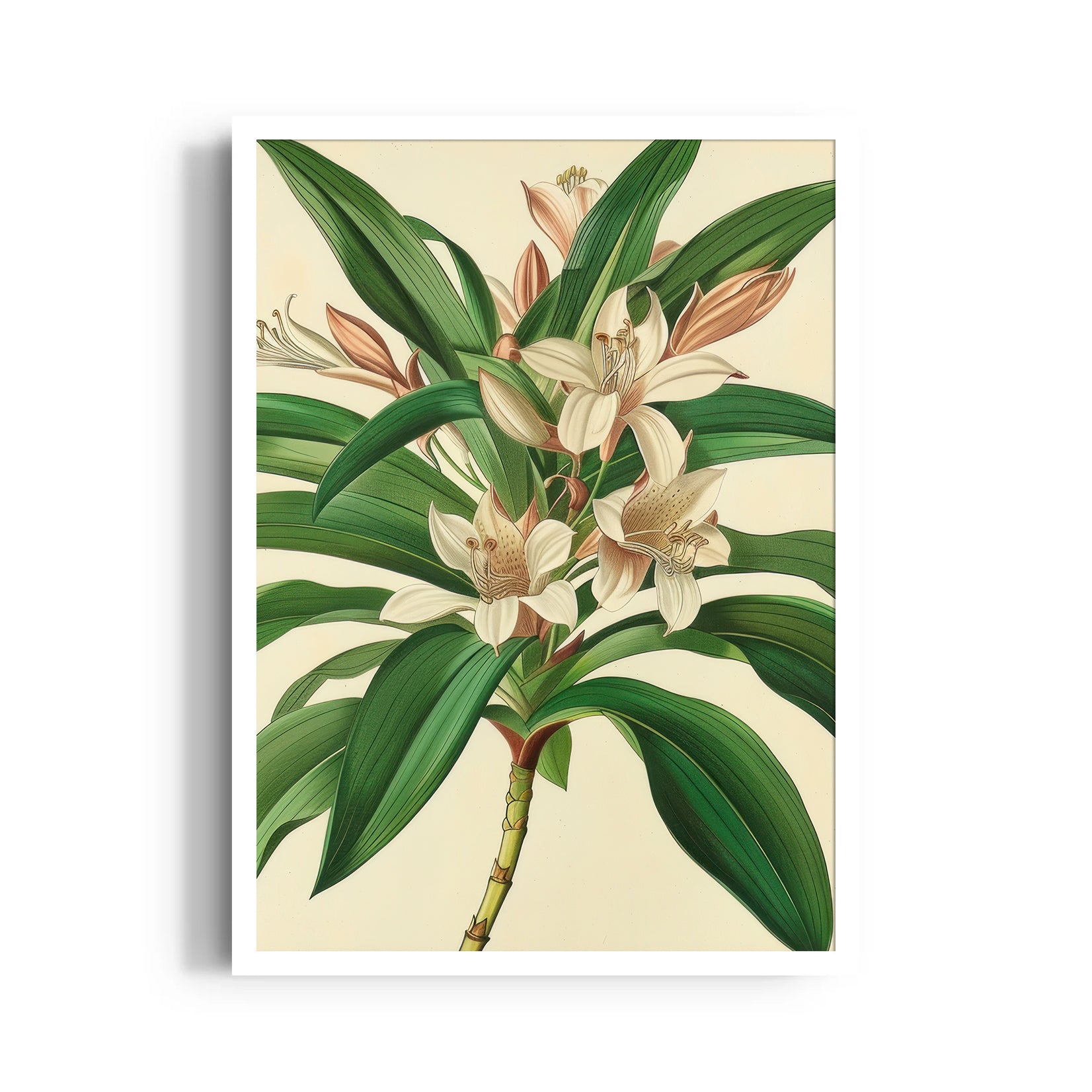 Saffron Lily Bloom - Botanical Wall Art