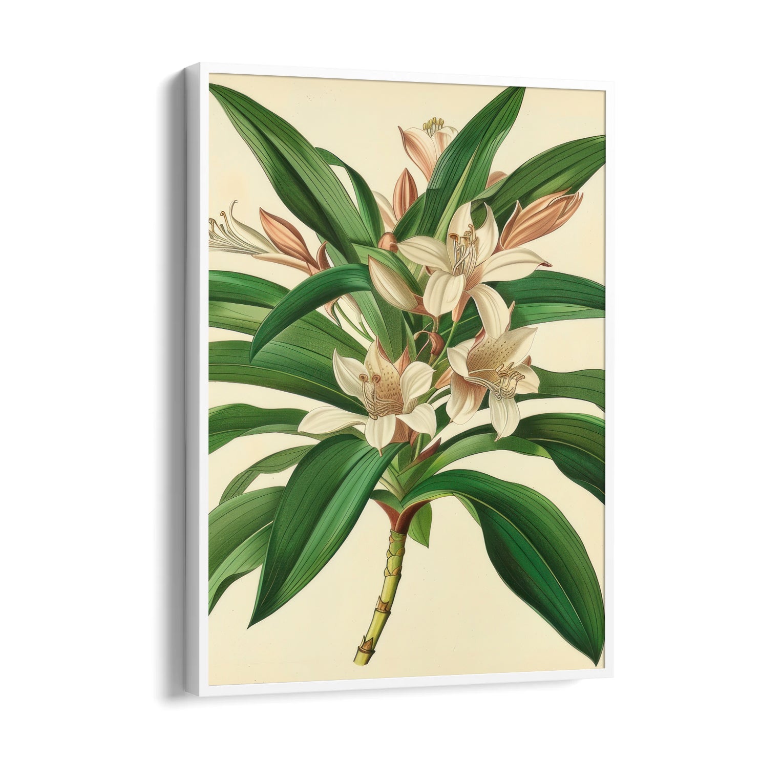 Saffron Lily Bloom - Botanical Wall Art