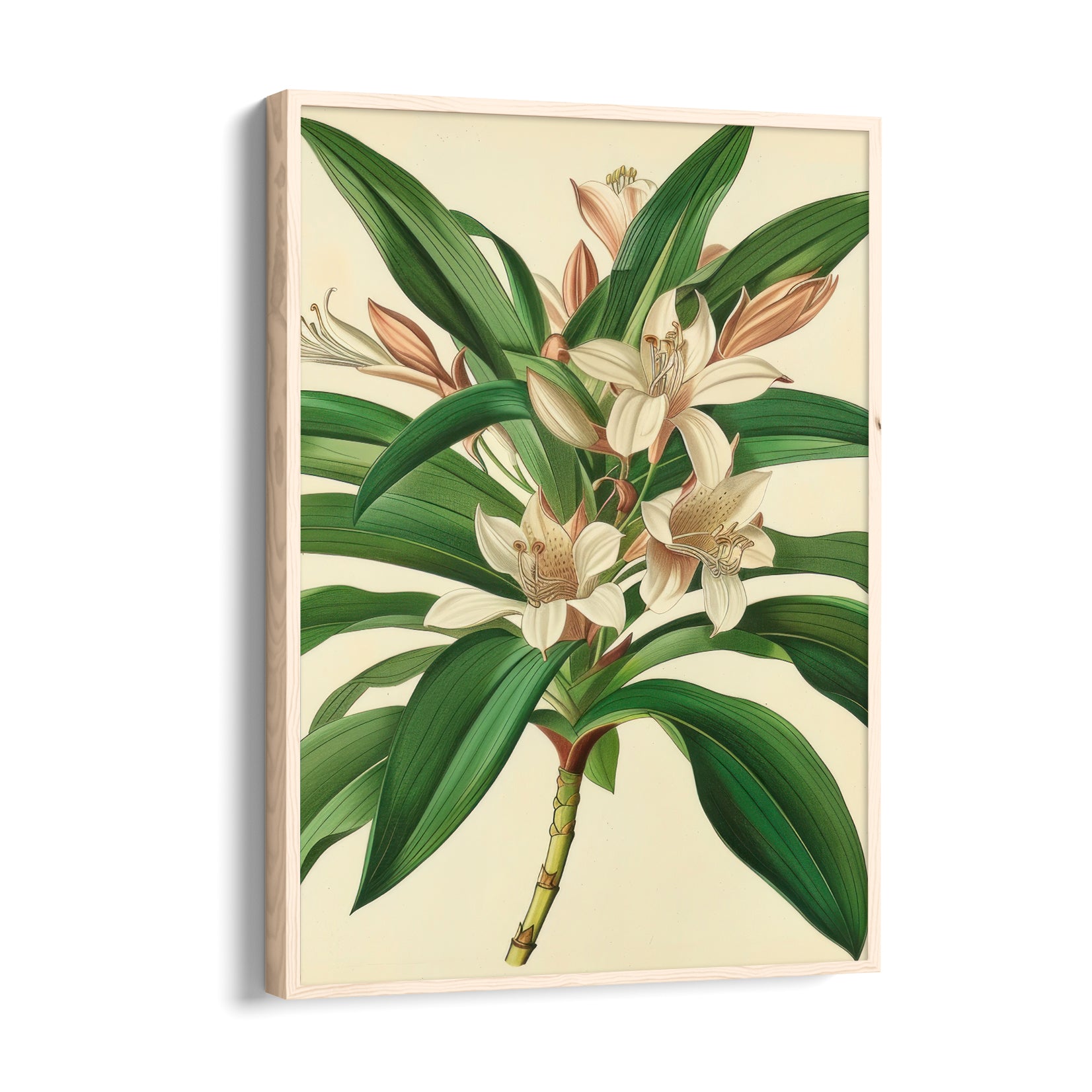 Saffron Lily Bloom - Botanical Wall Art