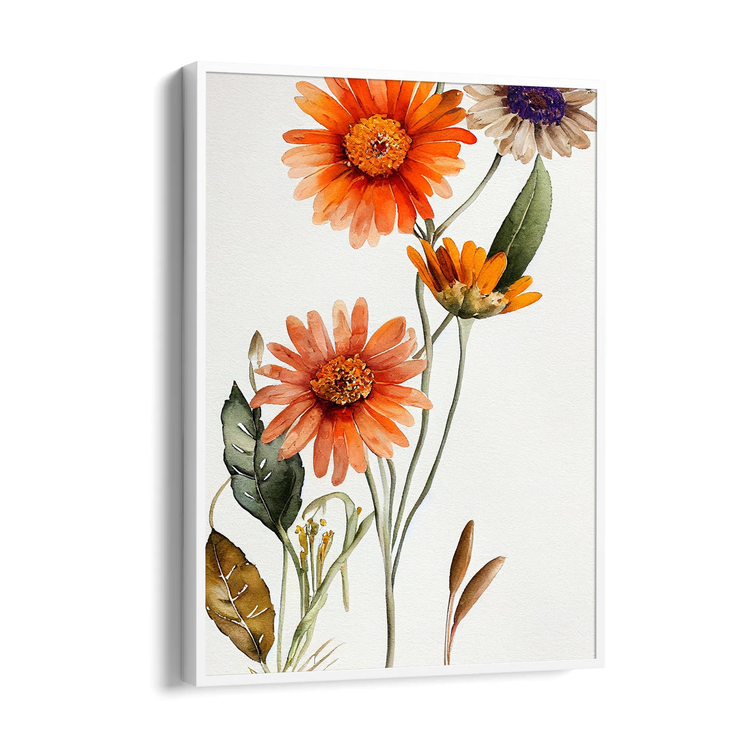Sunset Daisy Bloom - Botanical Wall Art