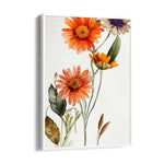 Sunset Daisy Bloom - Botanical Wall Art