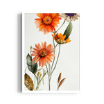 Sunset Daisy Bloom - Botanical Wall Art