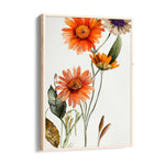 Sunset Daisy Bloom - Botanical Wall Art