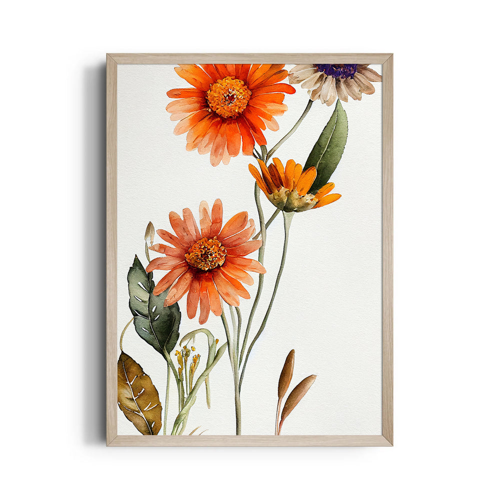 Sunset Daisy Bloom - Botanical Wall Art