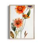 Sunset Daisy Bloom - Botanical Wall Art