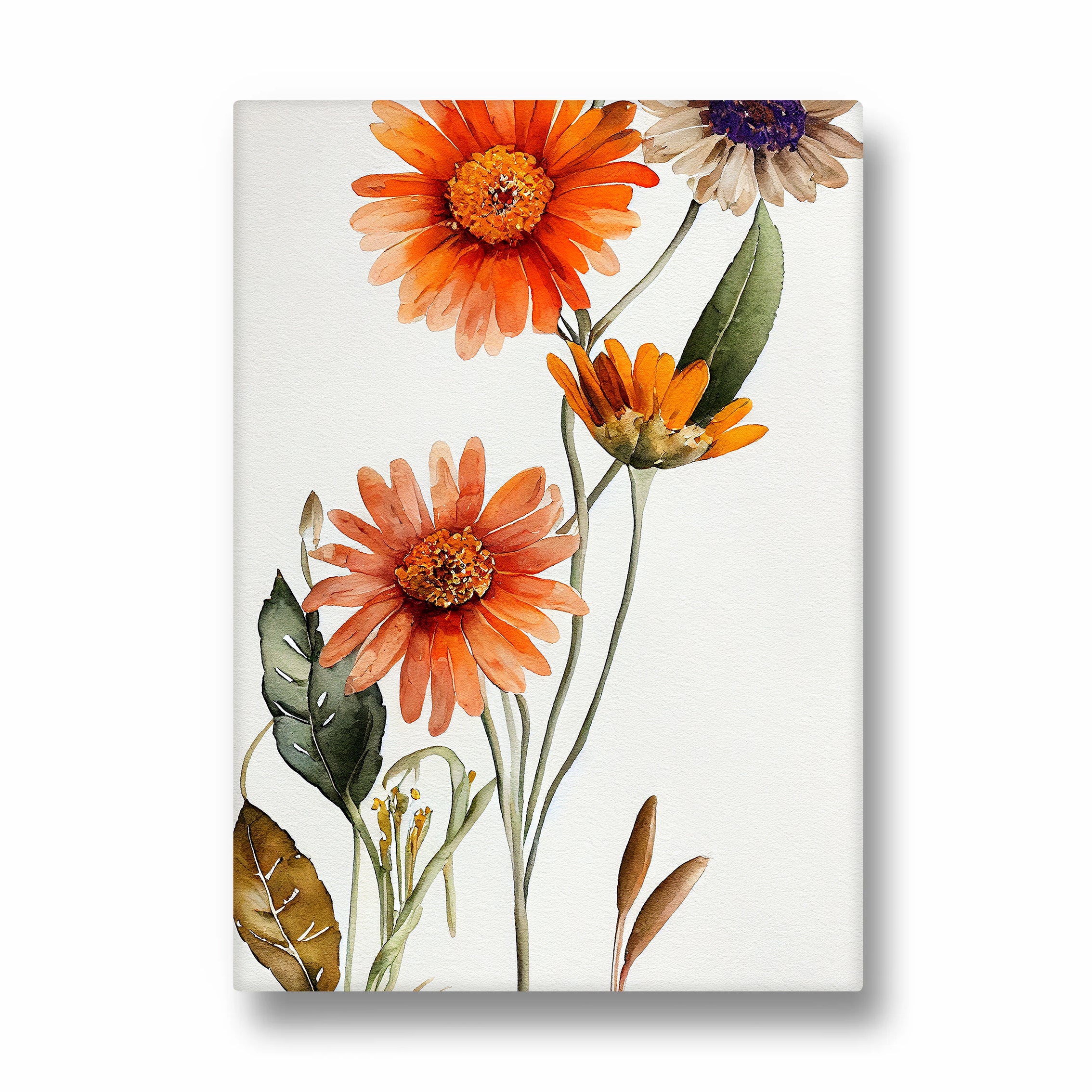 Sunset Daisy Bloom - Botanical Wall Art