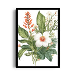 Tropical Ginger Lily - Botanical Wall Art