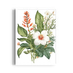 Tropical Ginger Lily - Botanical Wall Art