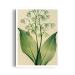Verdant Valley Bells - Botanical Wall Art