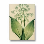 Verdant Valley Bells - Botanical Wall Art