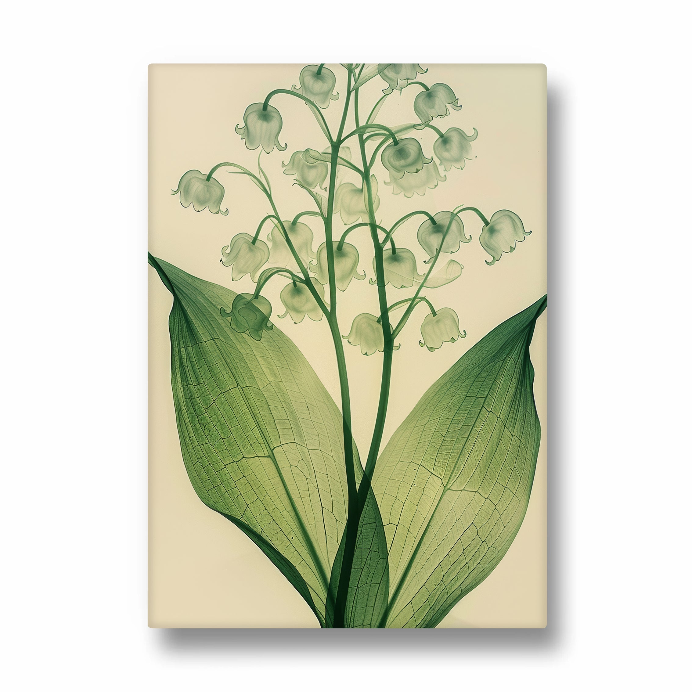 Verdant Valley Bells - Botanical Wall Art